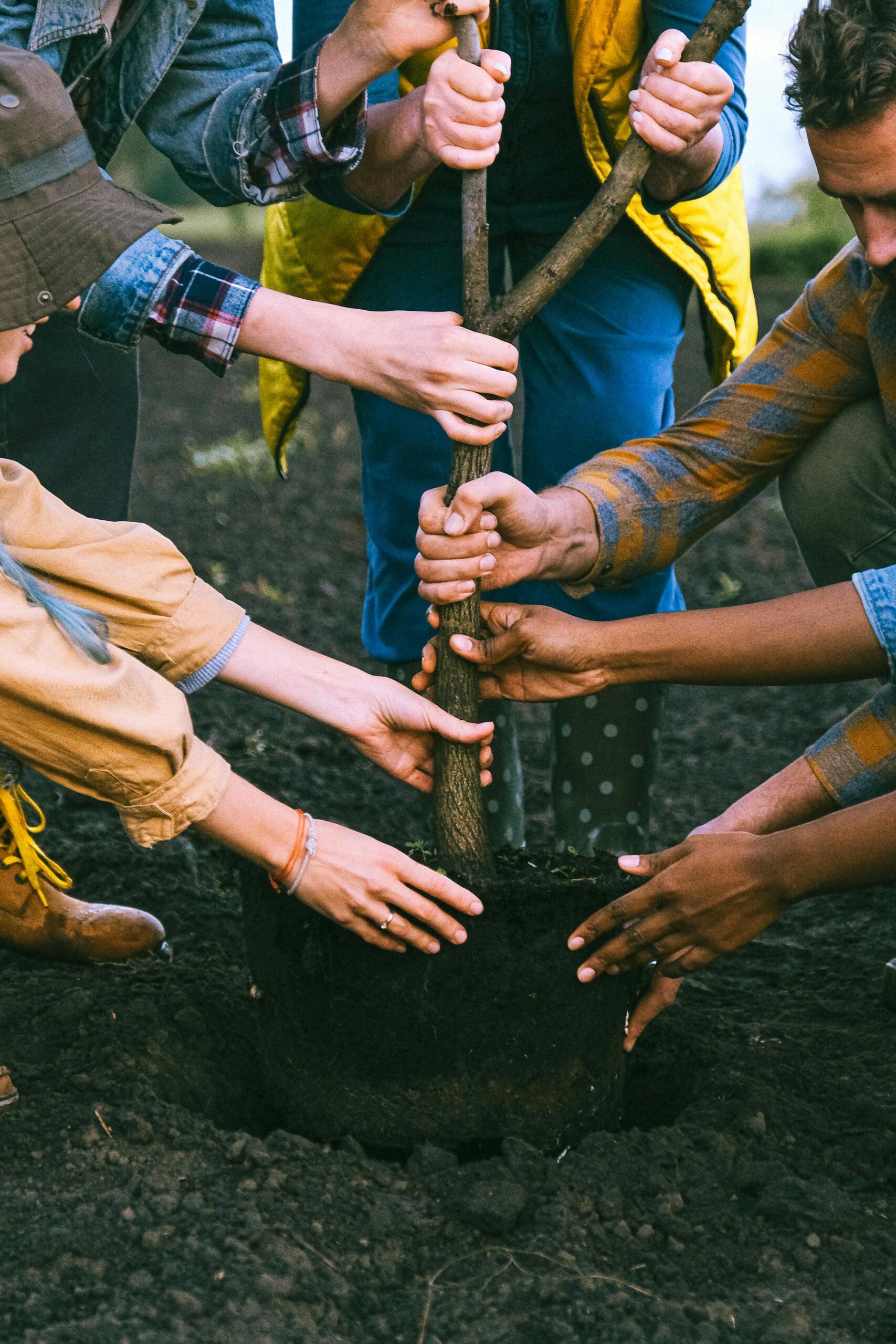 Gestión ambiental y participación comunitaria